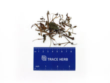 Load image into Gallery viewer, Thunberg&#39;s geranium
